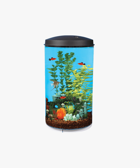 API Aquariums Tropical 360 View Aquarium Starter Kit